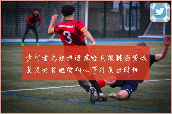 步行者总经理透露哈利跟腱伤势恢复良好将继续耐心等待复出时机